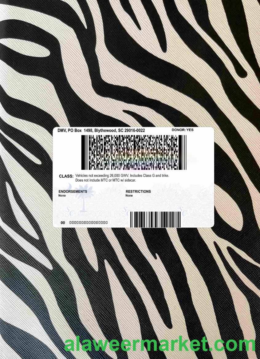 USA South Carolina state driving(2020 - present) photolook BACK